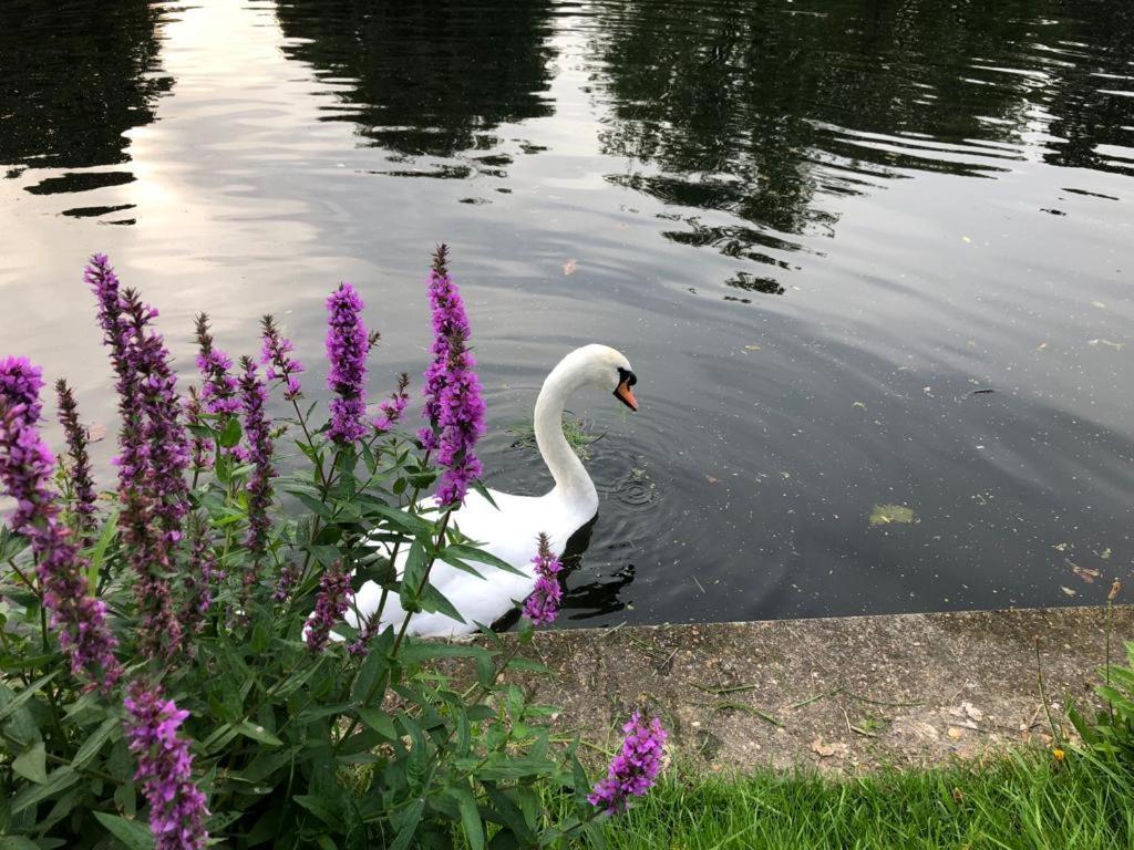 Cozy Double Bedroom In Stunning Bungalow On River Thames - Near Thorpe Park/Royal Holloway University/20Mins From Heathrow Staines-upon-Thames Exteriér fotografie